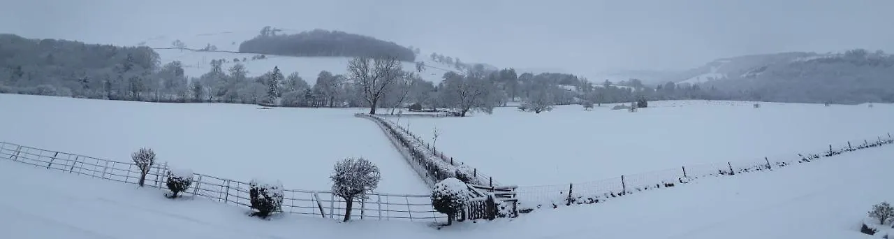 Ellerton Lodge Bed And Breakfast Swaledale Richmond  United Kingdom
