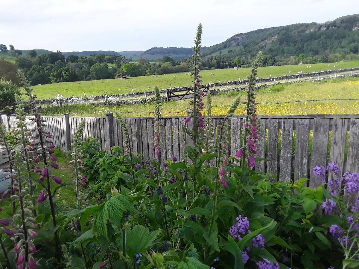 Ellerton Lodge Bed And Breakfast Swaledale Richmond  Richmond (North Yorkshire)