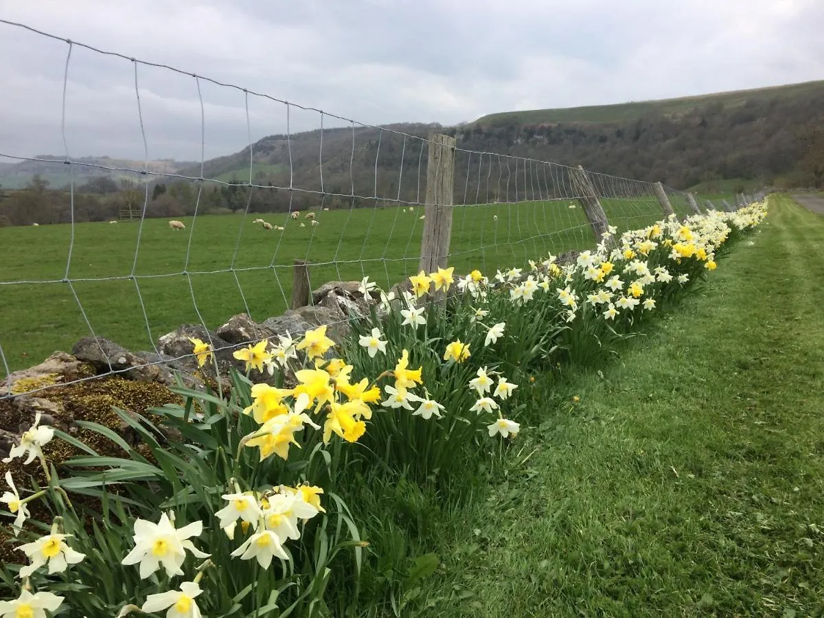 Ellerton Lodge Bed And Breakfast Swaledale Richmond  Richmond (North Yorkshire)
