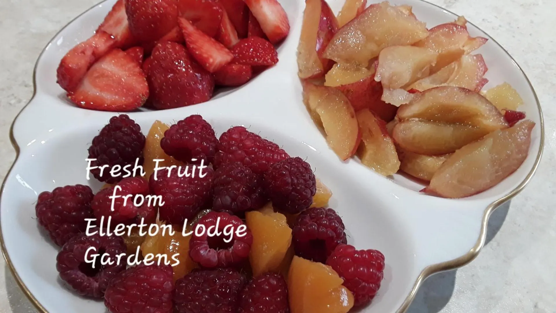 Bed & Breakfast Ellerton Lodge Bed And Breakfast Swaledale Richmond  United Kingdom